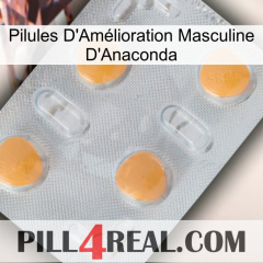 Anaconda Male Enhancement Pills 24